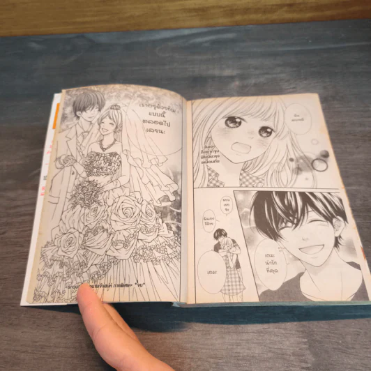 รักวุ่นวายของนายเจ้าเสน่ห์ - Hisa KYOMACHI รูปที่ 7