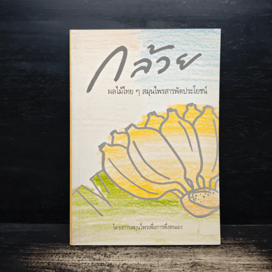 กล้วย ผลไม้ไทยๆสมุนไพรสารพัดประโยชน์ รูปที่ 1