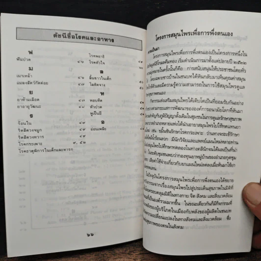 กล้วย ผลไม้ไทยๆสมุนไพรสารพัดประโยชน์ รูปที่ 9