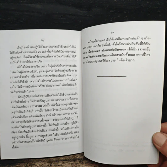 สิ้นโลก เหลือธรรม - หลวงปู่เทสก์ เทสรังสี รูปที่ 9