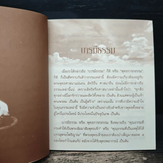 บารมีธรรม สู่ความสำเร็จ รูปที่ 8