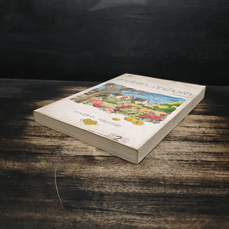 สายใยรัก...ถักข้ามฟ้า - Bookmark รูปที่ 4