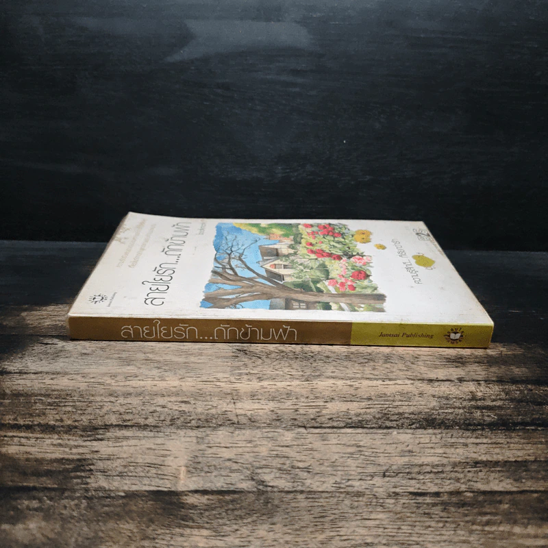 สายใยรัก...ถักข้ามฟ้า - Bookmark รูปที่ 3