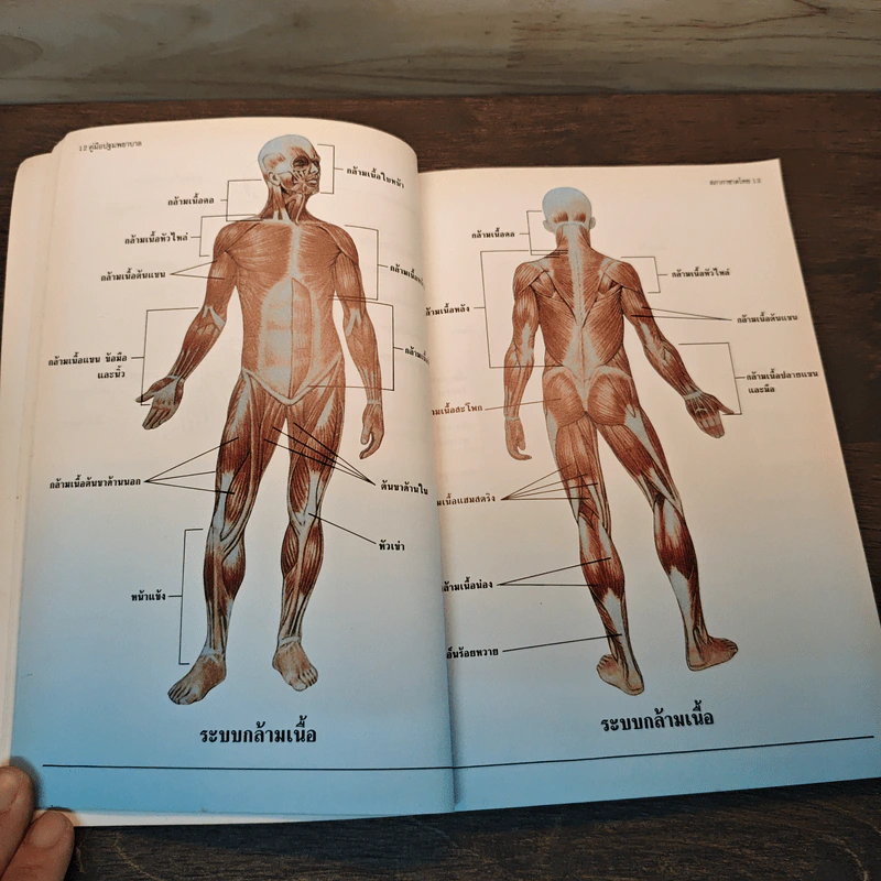 คู่มือปฐมพยาบาล First Aid Manual - สภากาชาดไทย รูปที่ 7