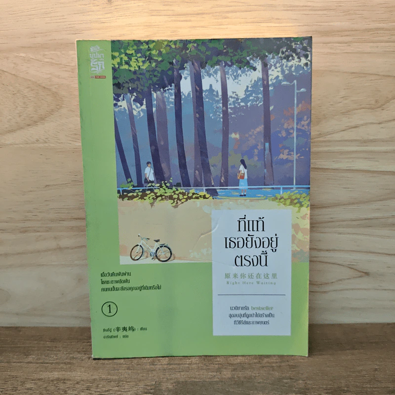 ที่แท้เธอยังอยู่ตรงนี้ เล่ม 1 รูปที่ 1