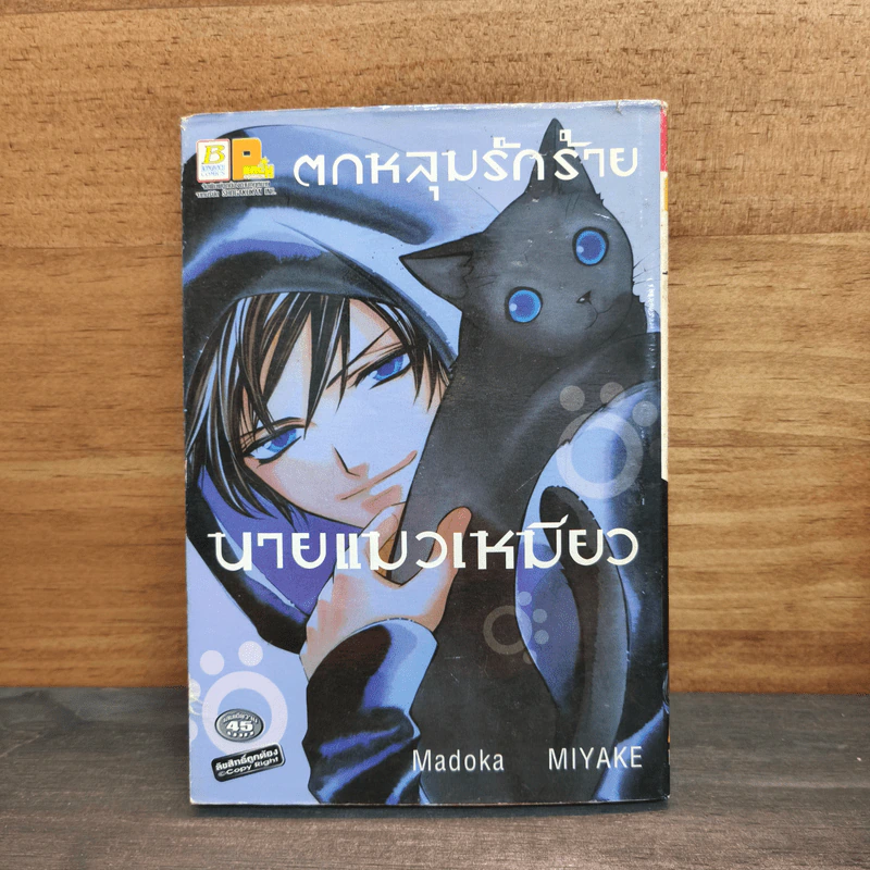 ตกหลุมรักร้ายนายแมวเหมียว รูปที่ 1