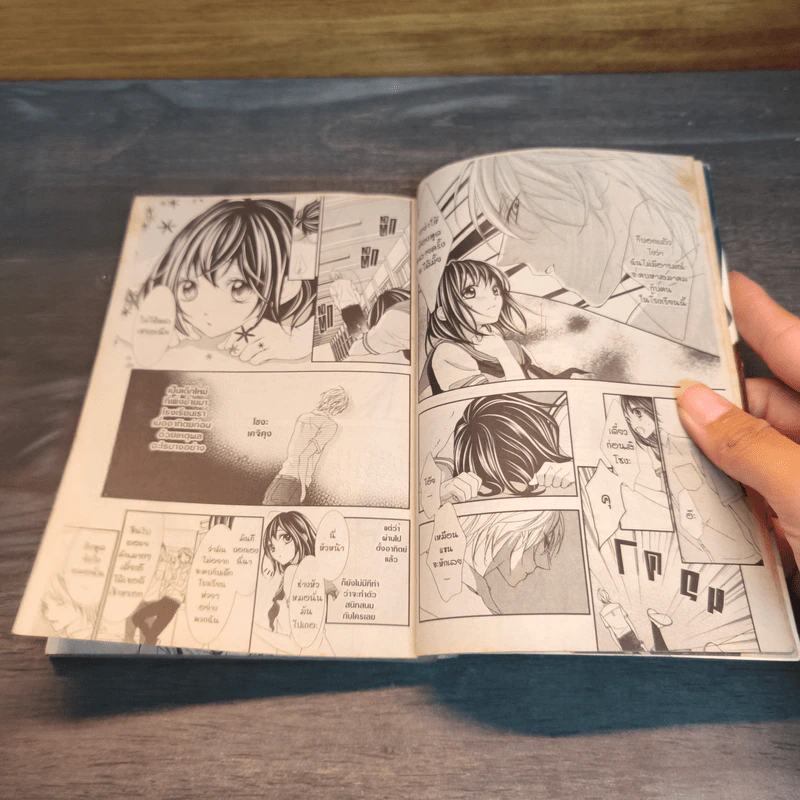 เด็ดหัวใจยัยจอมโหด - Yuki SHIRAISHI รูปที่ 6
