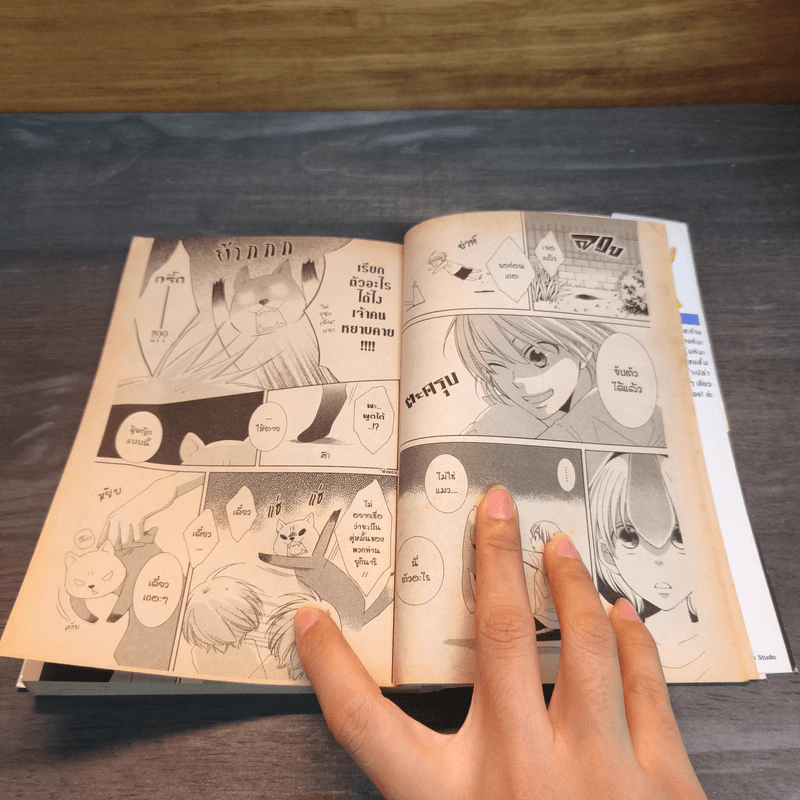 คุณชายน้ำแข็งแผลงฤทธิ์รัก (ซะให้เข็ด) เล่ม 2 - Rei Toma รูปที่ 6
