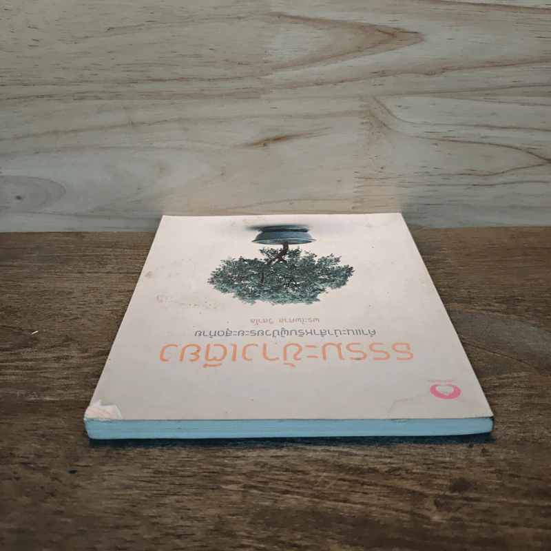ธรรมะข้างเตียง คำแนะนำสำหรับผู้ป่วยระยะสุดท้าย - พระไพศาล วิสาโล รูปที่ 4
