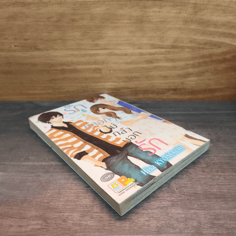 รักหลอกๆไม่กล้าบอกรัก - Hisa KYOMACHI รูปที่ 3