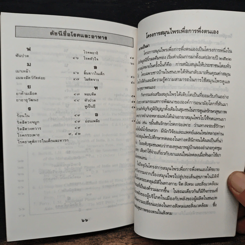 กล้วย ผลไม้ไทยๆสมุนไพรสารพัดประโยชน์ รูปที่ 9
