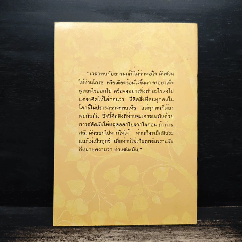คู่มือดับทุกข์ ฉบับสมบูรณ์ รูปที่ 2