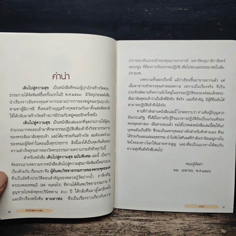 เดินไปสู่ความสุข รูปที่ 6