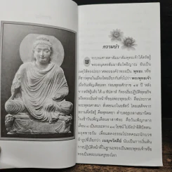 พุทธลีลา - ธรรมปราณี รูปที่ 8
