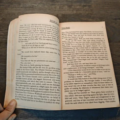 Wizard at Large - Terry Brooks รูปที่ 7