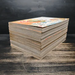 เจ้าหญิงจอมจุ้นกับรักวุ่นๆในวัง เล่ม 1-10 รูปที่ 3