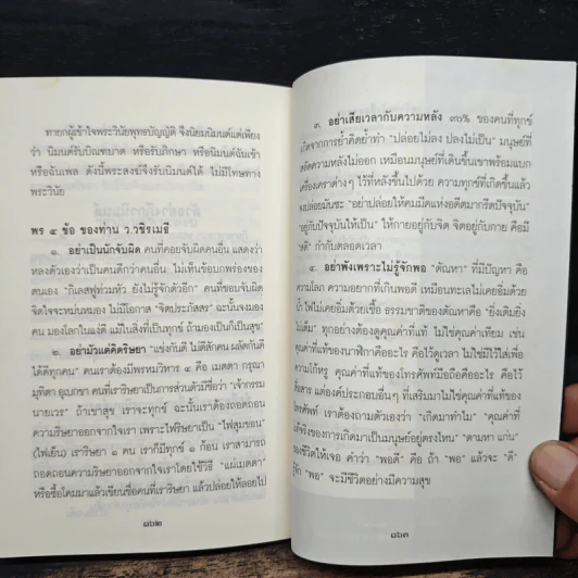 พุทธทานบารมี รูปที่ 8