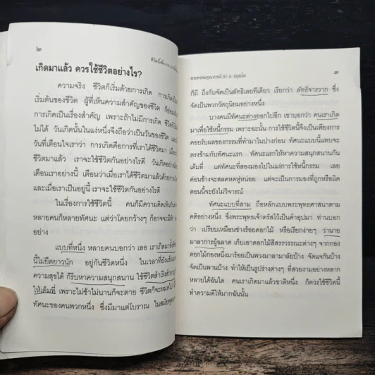 ชีวิตนี้เพื่องาน งานนี้เพื่อธรรม - พระพรหมคุณาภรณ์ (ป. อ. ปยุตโต) รูปที่ 8