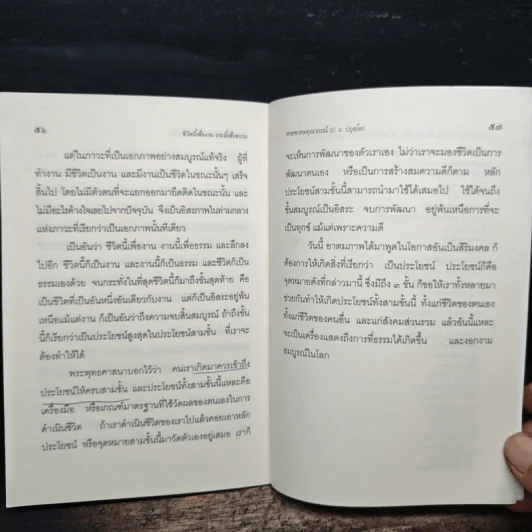 ชีวิตนี้เพื่องาน งานนี้เพื่อธรรม - พระพรหมคุณาภรณ์ (ป. อ. ปยุตโต) รูปที่ 9