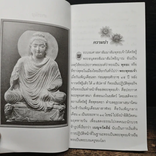 พุทธลีลา - ธรรมปราณี รูปที่ 8