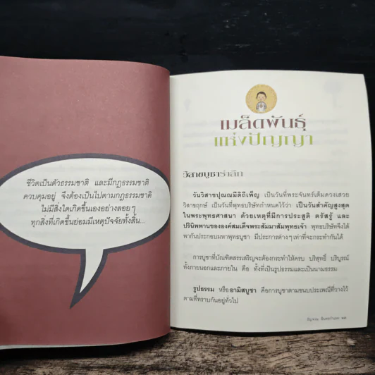 เมล็ดพันธุ์แห่งปัญญา - รัญจวน อินทรกำแหง รูปที่ 8