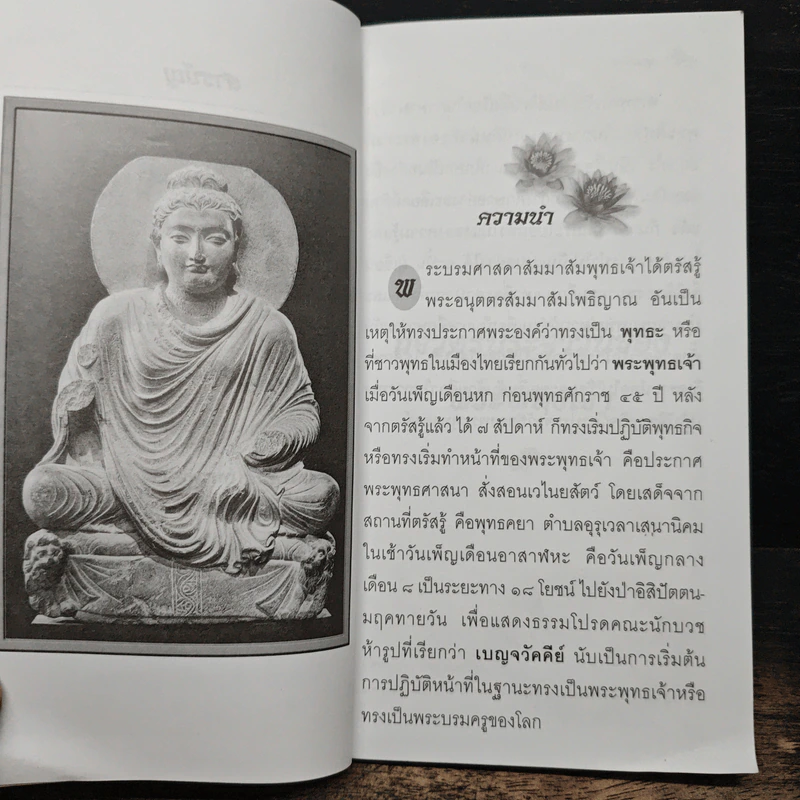 พุทธลีลา - ธรรมปราณี รูปที่ 8
