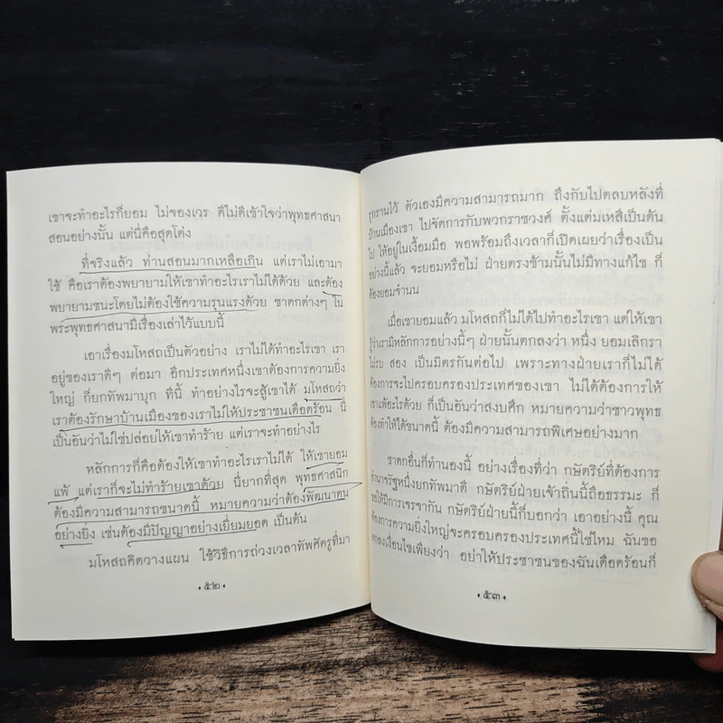 เบื่อการเมือง เรื่องขุ่นใจก่อนเลือกตั้ง - พระพรหมคุณาภรณ์ (ป.อ. ปยุตฺโต) รูปที่ 10