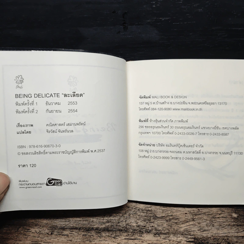 BEING DELICATE ละเลียด - คณิตศาสตร์ เสมานพรัตน์ รูปที่ 6