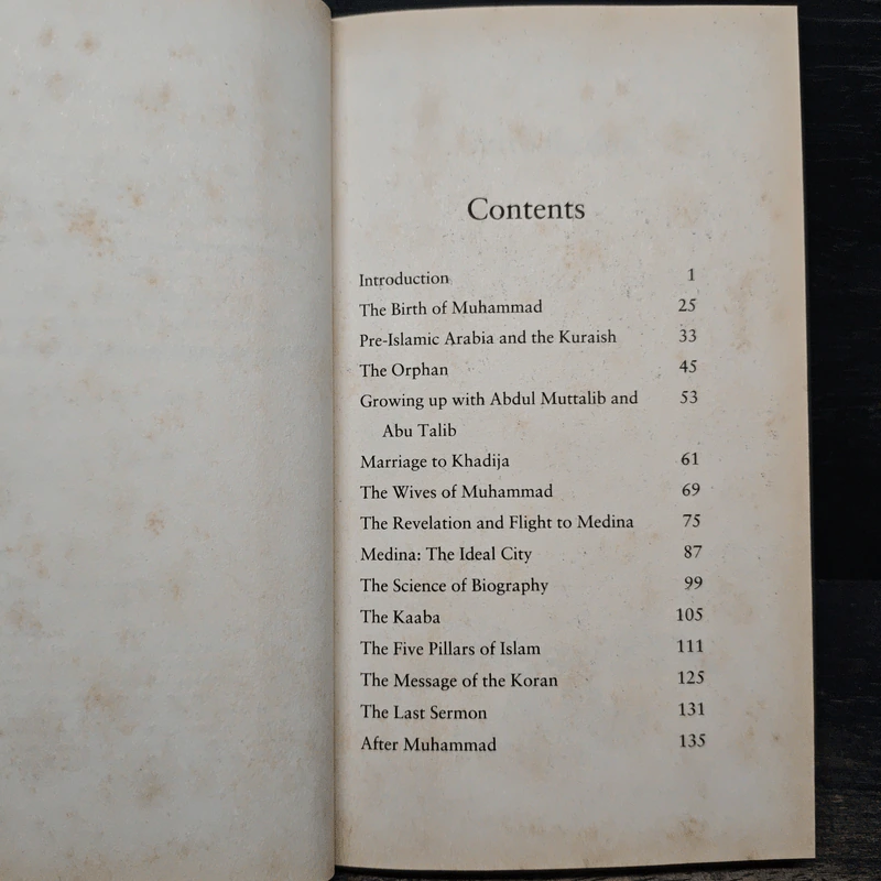 The Book of Muhammad - Mehru Jaffer รูปที่ 7
