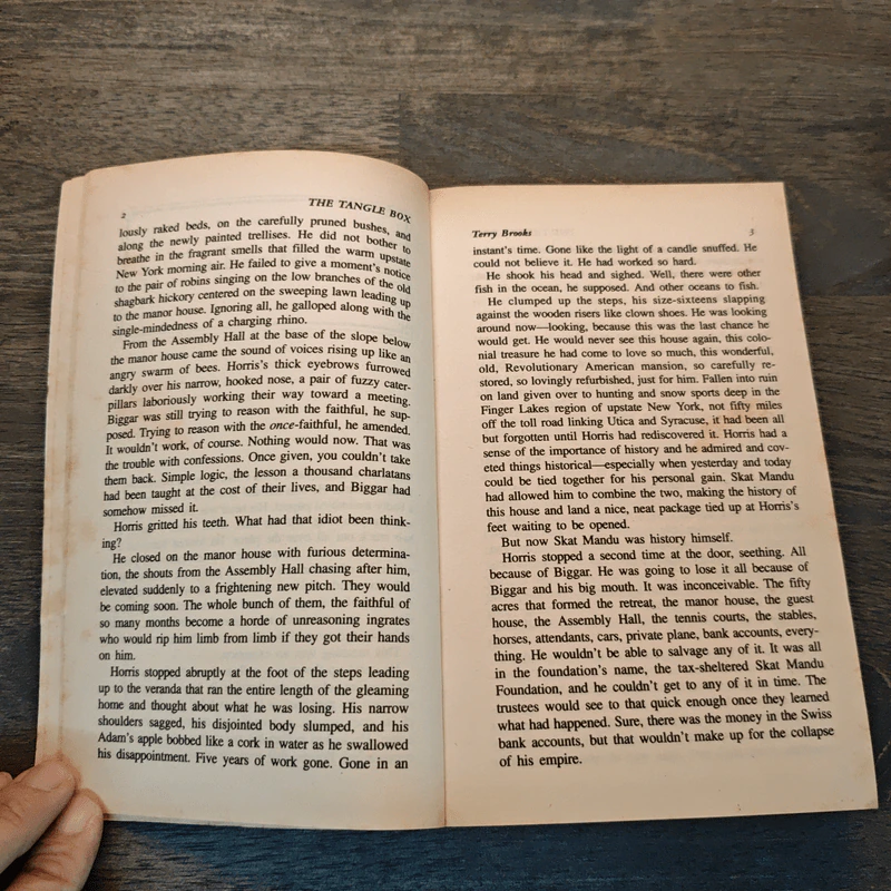 The Tangle Box - Terry Brooks รูปที่ 7