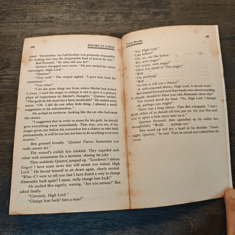 Wizard at Large - Terry Brooks รูปที่ 8
