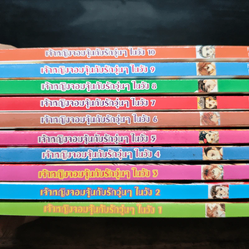 เจ้าหญิงจอมจุ้นกับรักวุ่นๆในวัง เล่ม 1-10 รูปที่ 9