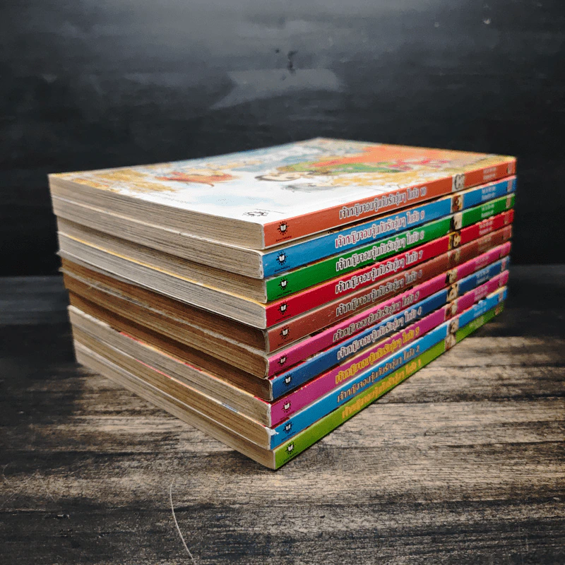 เจ้าหญิงจอมจุ้นกับรักวุ่นๆในวัง เล่ม 1-10 รูปที่ 4