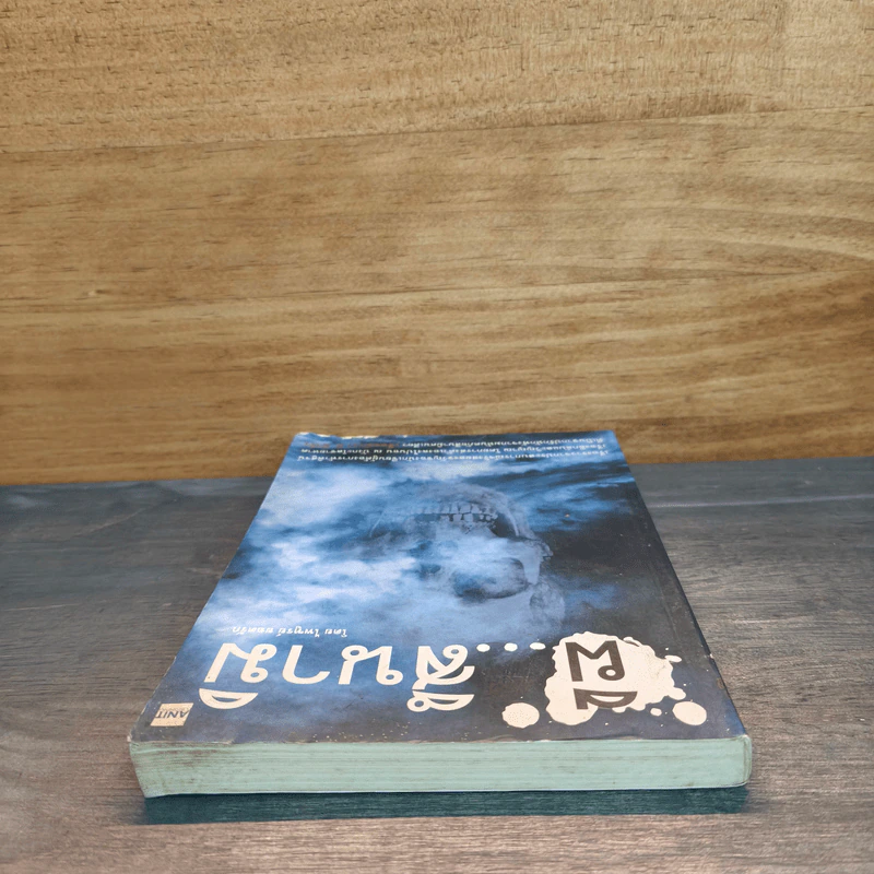 ผี...สึนามิ - ไพฑูรย์ ยอดรัก รูปที่ 4