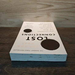 Lost Connections: Uncovering the Real Causes of Depression - and the Unexpected Solutions - Johann Hari รูปที่ 4