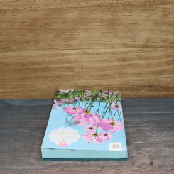Forbidden Fruit รักเกินห้าม เล่ม 1 - เตี่ยนซิน รูปที่ 4