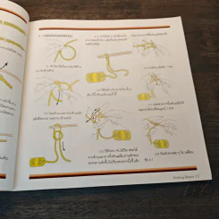 พื้นฐานการถักนิตติ้ง Knitting Basics รูปที่ 9