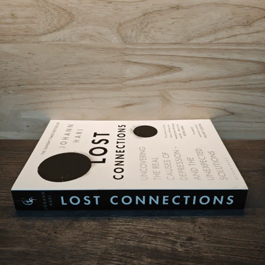 Lost Connections: Uncovering the Real Causes of Depression - and the Unexpected Solutions - Johann Hari รูปที่ 2