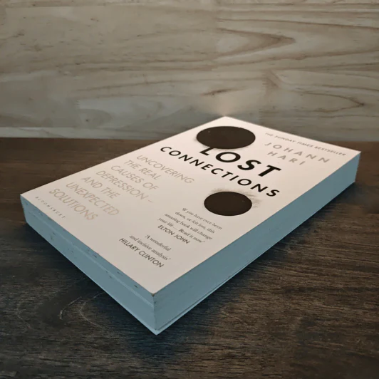 Lost Connections: Uncovering the Real Causes of Depression - and the Unexpected Solutions - Johann Hari รูปที่ 3
