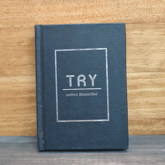 Try - วงศ์ทนง ชัยณรงค์สิงห์ รูปที่ 1