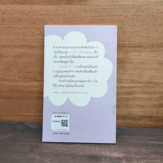 มรสุมและรอยเท้า - สมใจ สมคิด รูปที่ 5