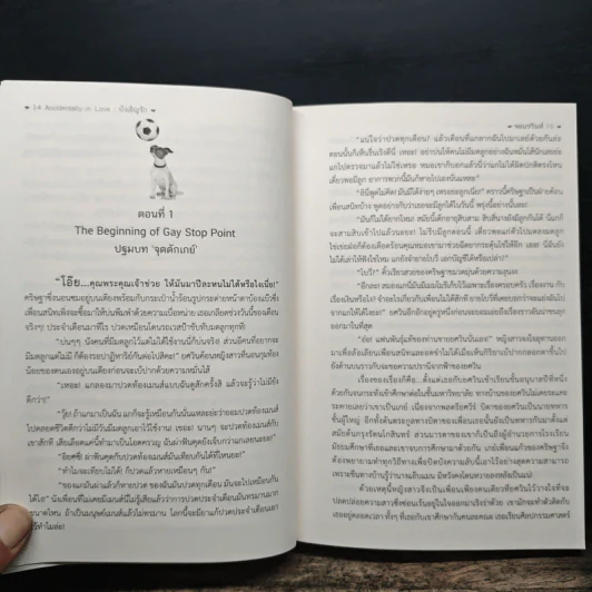 บังเอิญรัก - จอมรวินท์ รูปที่ 8