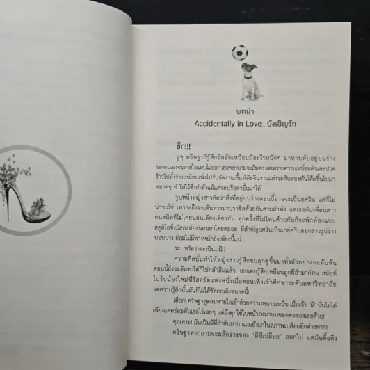 บังเอิญรัก - จอมรวินท์ รูปที่ 7