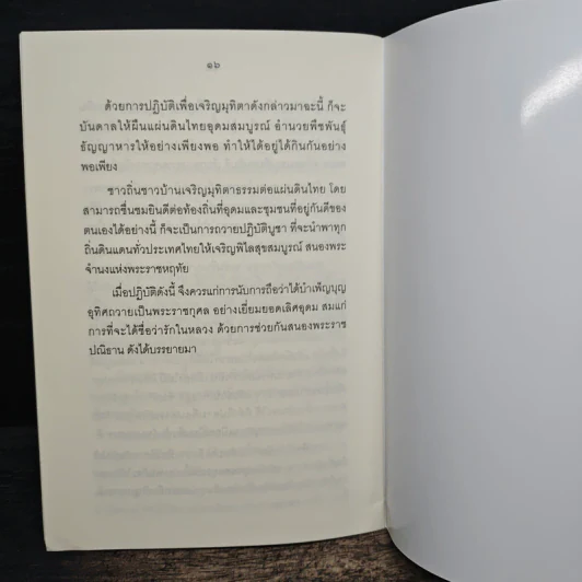 ทำอย่างไร จะพูดได้เต็มปากว่า เรารักในหลวง รูปที่ 7