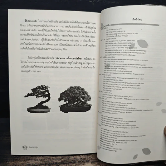 สัมผัสญี่ปุ่น - รังสินี ไชยคุณ รูปที่ 9