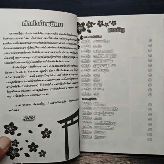 สัมผัสญี่ปุ่น - รังสินี ไชยคุณ รูปที่ 6