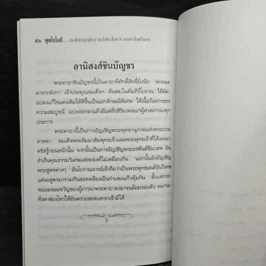 พุทโธโลยี มนุษยธรรม รูปที่ 8