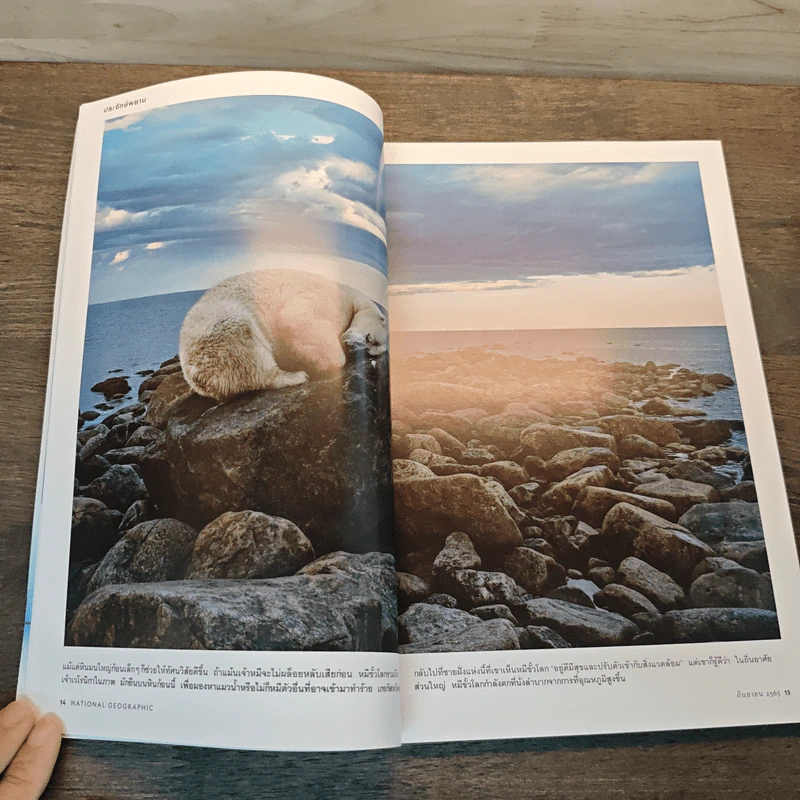 National Geographic ฉบับที่ 254 ก.ย.2566 รูปที่ 7