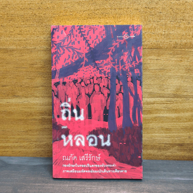 ถิ่น หลอน - ณภัค เสรีรักษ์ รูปที่ 1