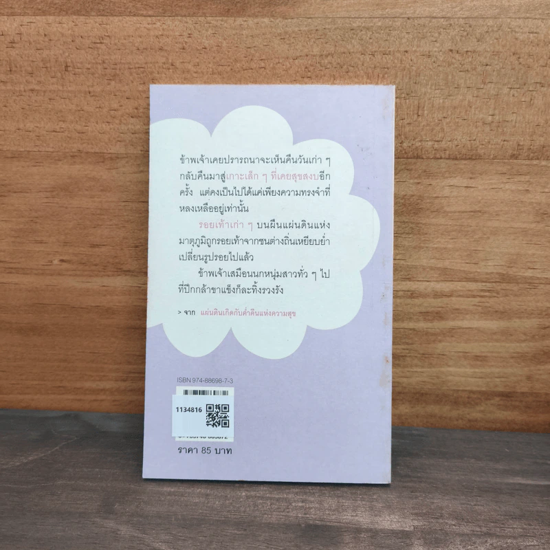 มรสุมและรอยเท้า - สมใจ สมคิด รูปที่ 5